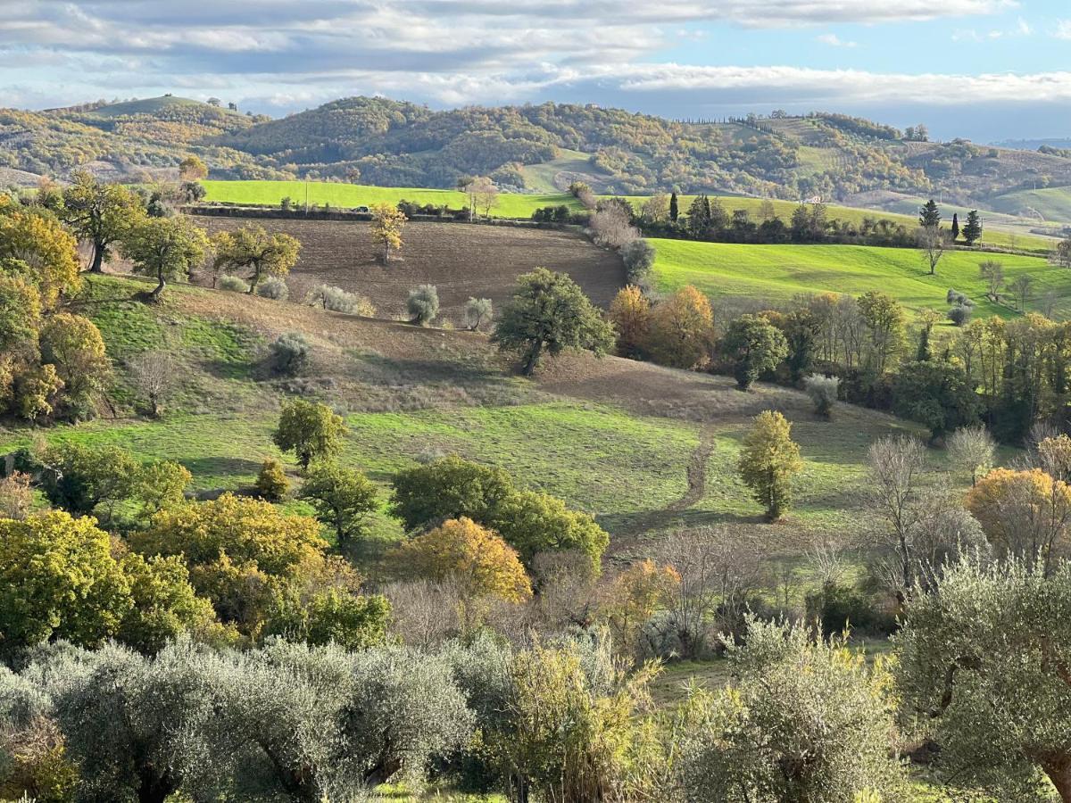 Bed and Breakfast Casale Terre Rosse Garden Saturnia Esterno foto