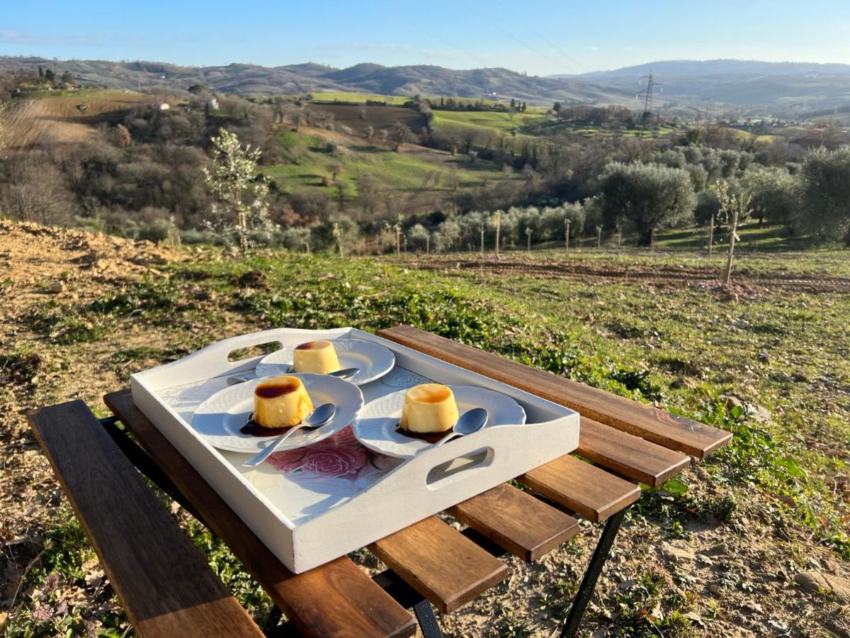 Bed and Breakfast Casale Terre Rosse Garden Saturnia Esterno foto