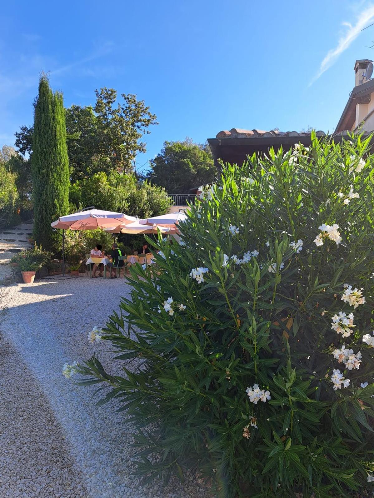 Bed and Breakfast Casale Terre Rosse Garden Saturnia Esterno foto