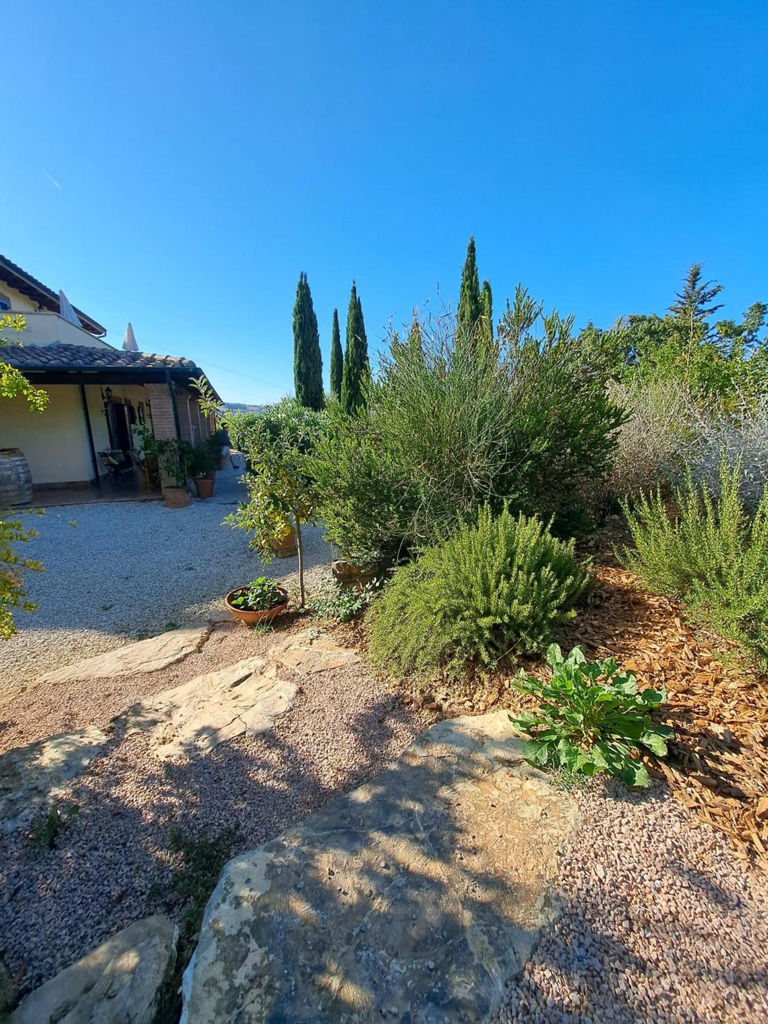 Bed and Breakfast Casale Terre Rosse Garden Saturnia Esterno foto