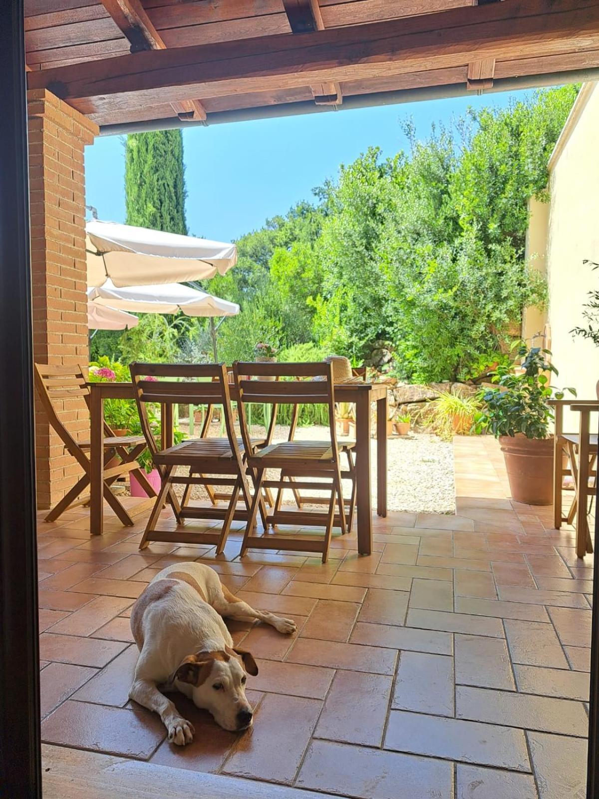 Bed and Breakfast Casale Terre Rosse Garden Saturnia Esterno foto