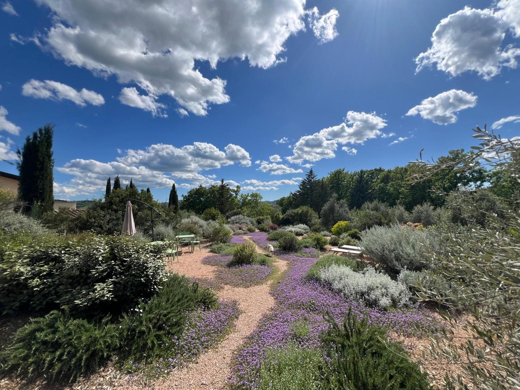 Bed and Breakfast Casale Terre Rosse Garden Saturnia Esterno foto