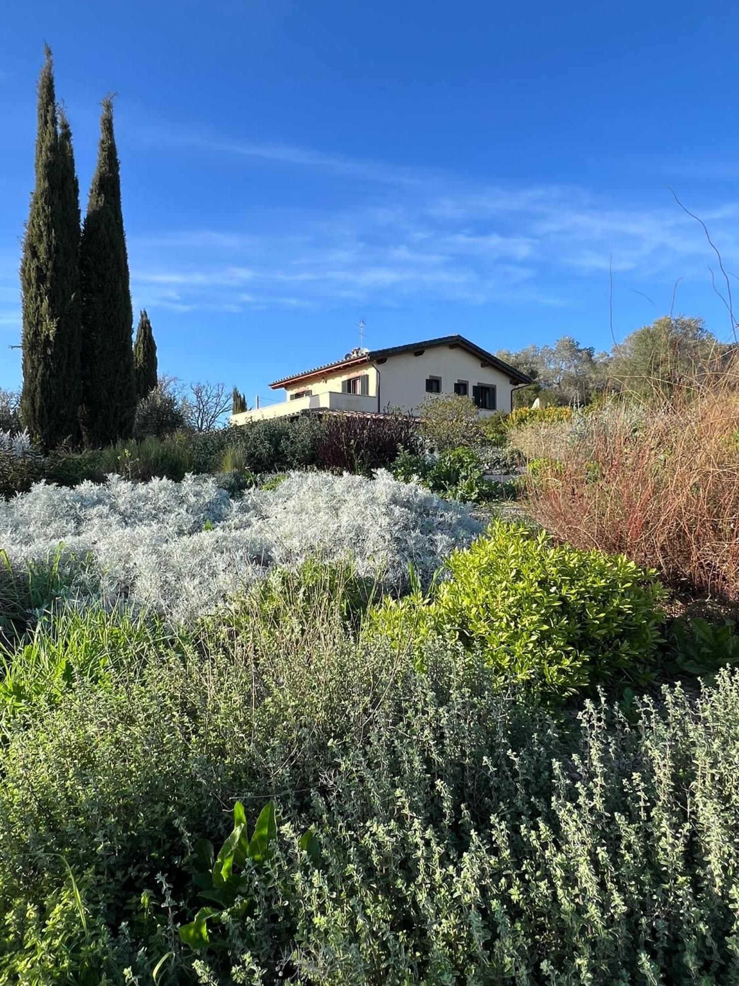 Bed and Breakfast Casale Terre Rosse Garden Saturnia Esterno foto