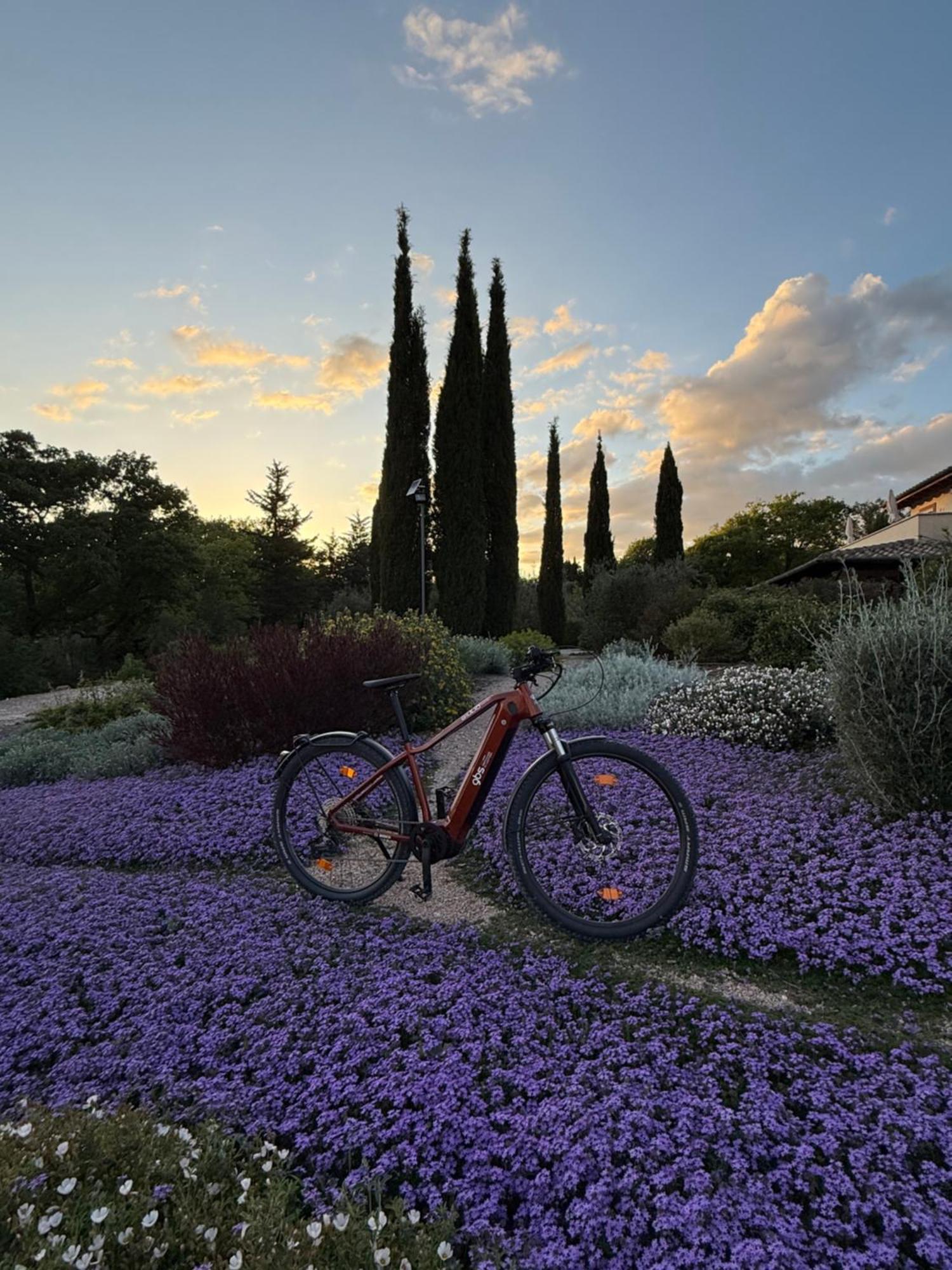 Bed and Breakfast Casale Terre Rosse Garden Saturnia Esterno foto