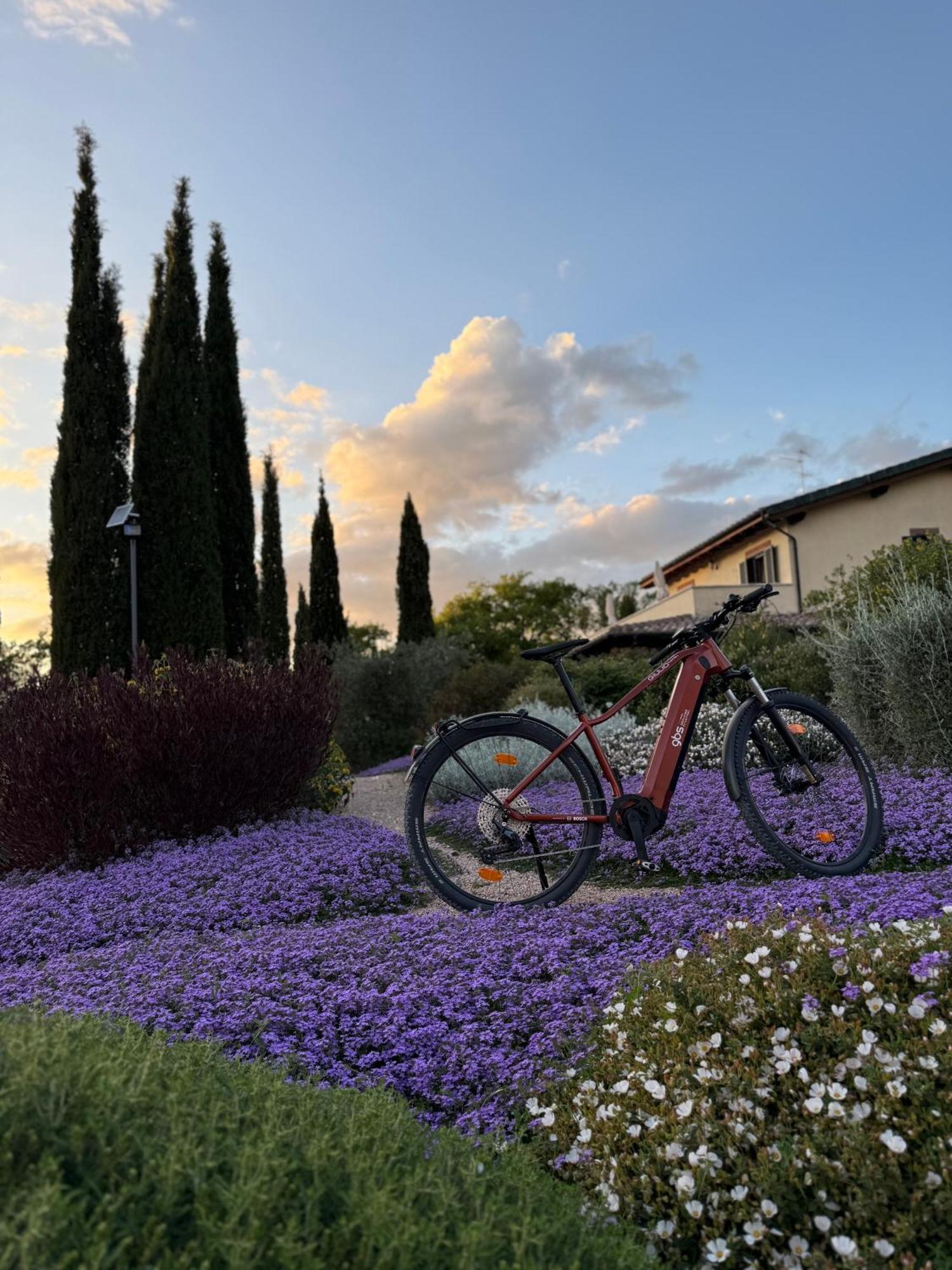 Bed and Breakfast Casale Terre Rosse Garden Saturnia Esterno foto